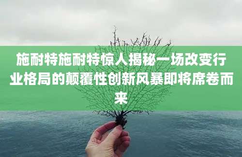 施耐特施耐特惊人揭秘一场改变行业格局的颠覆性创新风暴即将席卷而来
