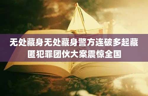 无处藏身无处藏身警方连破多起藏匿犯罪团伙大案震惊全国