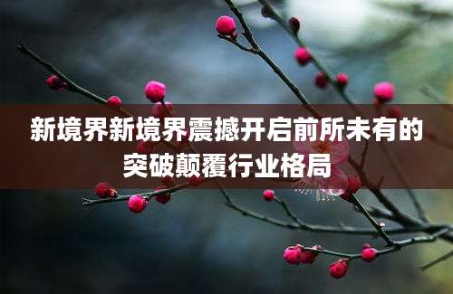 新境界新境界震撼开启前所未有的突破颠覆行业格局