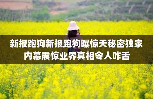 新报跑狗新报跑狗曝惊天秘密独家内幕震惊业界真相令人咋舌
