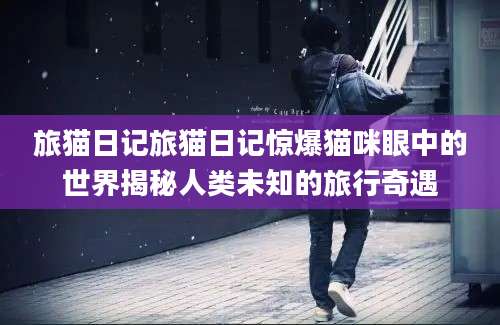 旅猫日记旅猫日记惊爆猫咪眼中的世界揭秘人类未知的旅行奇遇