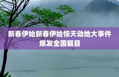 新春伊始新春伊始惊天动地大事件爆发全国瞩目