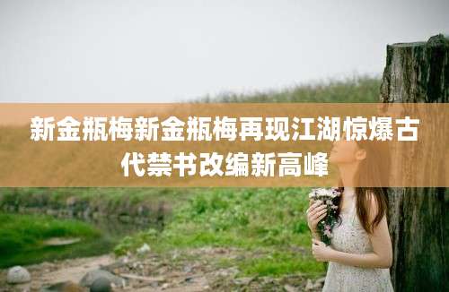 新金瓶梅新金瓶梅再现江湖惊爆古代禁书改编新高峰