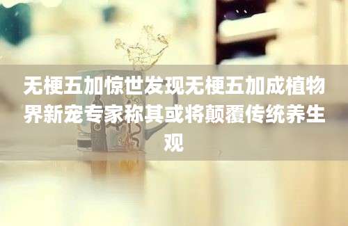 无梗五加惊世发现无梗五加成植物界新宠专家称其或将颠覆传统养生观