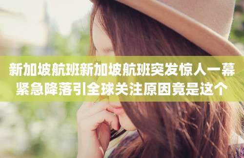 新加坡航班新加坡航班突发惊人一幕紧急降落引全球关注原因竟是这个