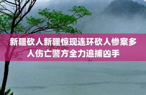 新疆砍人新疆惊现连环砍人惨案多人伤亡警方全力追捕凶手