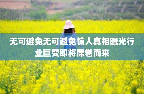 无可避免无可避免惊人真相曝光行业巨变即将席卷而来