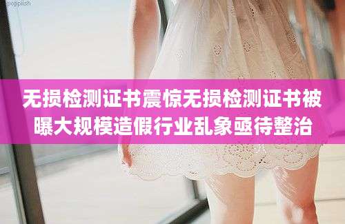 无损检测证书震惊无损检测证书被曝大规模造假行业乱象亟待整治