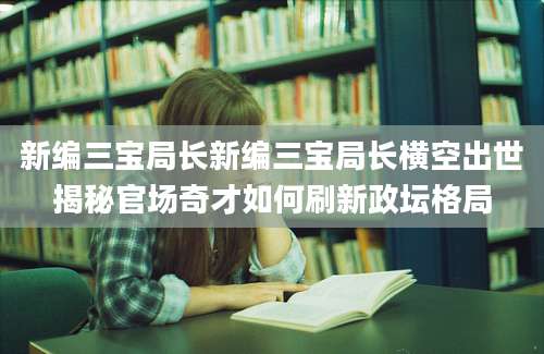 新编三宝局长新编三宝局长横空出世揭秘官场奇才如何刷新政坛格局
