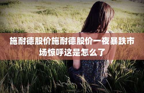施耐德股价施耐德股价一夜暴跌市场惊呼这是怎么了