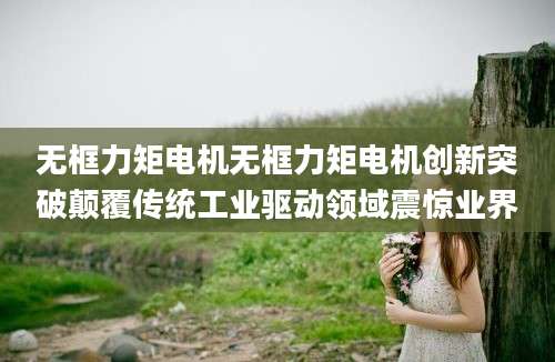 无框力矩电机无框力矩电机创新突破颠覆传统工业驱动领域震惊业界