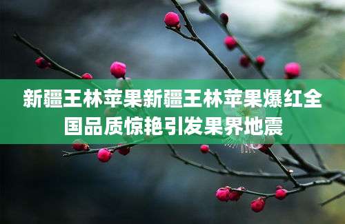 新疆王林苹果新疆王林苹果爆红全国品质惊艳引发果界地震