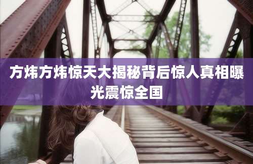 方炜方炜惊天大揭秘背后惊人真相曝光震惊全国