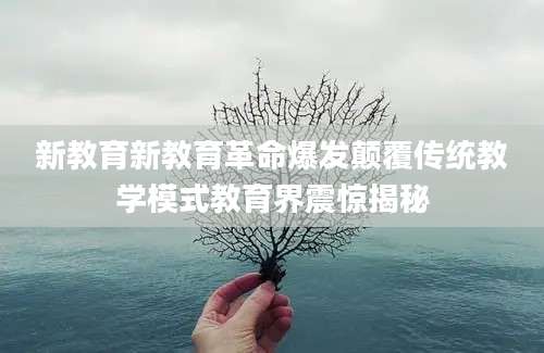 新教育新教育革命爆发颠覆传统教学模式教育界震惊揭秘