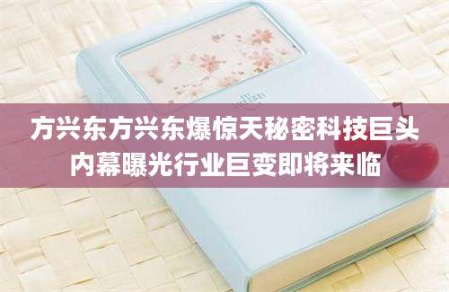 方兴东方兴东爆惊天秘密科技巨头内幕曝光行业巨变即将来临