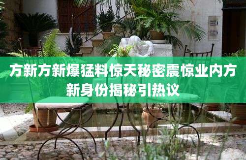 方新方新爆猛料惊天秘密震惊业内方新身份揭秘引热议