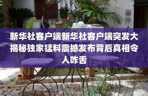 新华社客户端新华社客户端突发大揭秘独家猛料震撼发布背后真相令人咋舌