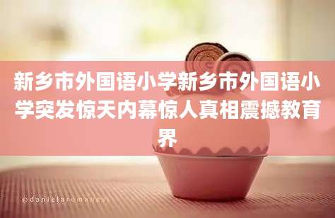新乡市外国语小学新乡市外国语小学突发惊天内幕惊人真相震撼教育界