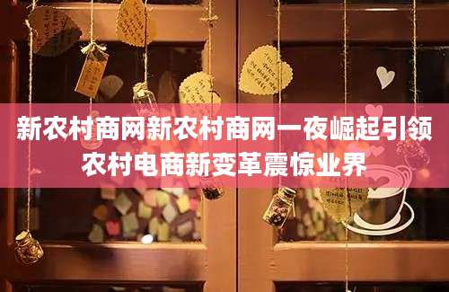 新农村商网新农村商网一夜崛起引领农村电商新变革震惊业界
