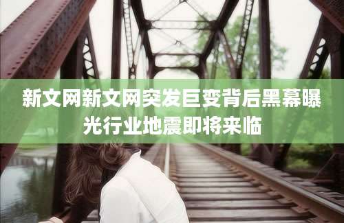 新文网新文网突发巨变背后黑幕曝光行业地震即将来临