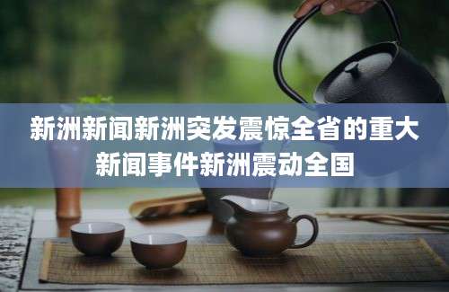 新洲新闻新洲突发震惊全省的重大新闻事件新洲震动全国