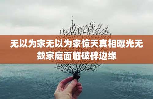 无以为家无以为家惊天真相曝光无数家庭面临破碎边缘