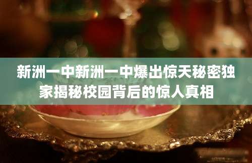 新洲一中新洲一中爆出惊天秘密独家揭秘校园背后的惊人真相