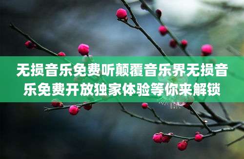 无损音乐免费听颠覆音乐界无损音乐免费开放独家体验等你来解锁