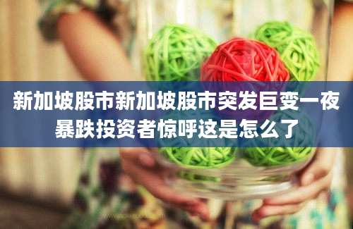 新加坡股市新加坡股市突发巨变一夜暴跌投资者惊呼这是怎么了