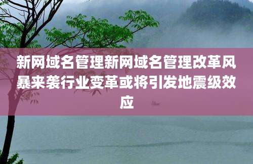 新网域名管理新网域名管理改革风暴来袭行业变革或将引发地震级效应