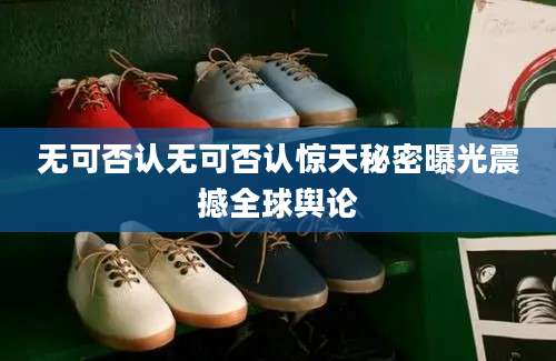 无可否认无可否认惊天秘密曝光震撼全球舆论