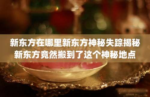 新东方在哪里新东方神秘失踪揭秘新东方竟然搬到了这个神秘地点