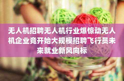 无人机招聘无人机行业爆惊动无人机企业竟开始大规模招聘飞行员未来就业新风向标