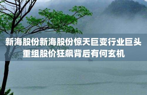 新海股份新海股份惊天巨变行业巨头重组股价狂飙背后有何玄机