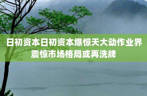 日初资本日初资本爆惊天大动作业界震惊市场格局或再洗牌