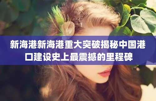 新海港新海港重大突破揭秘中国港口建设史上最震撼的里程碑