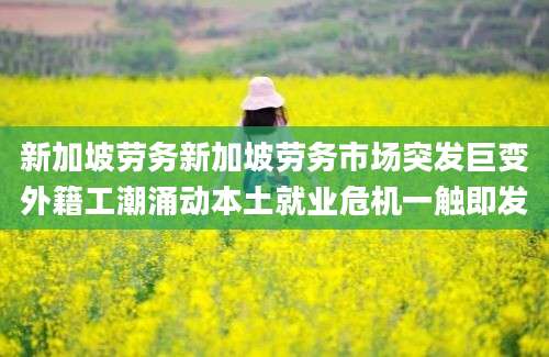 新加坡劳务新加坡劳务市场突发巨变外籍工潮涌动本土就业危机一触即发