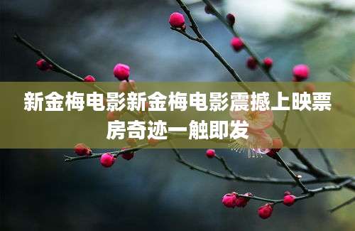 新金梅电影新金梅电影震撼上映票房奇迹一触即发