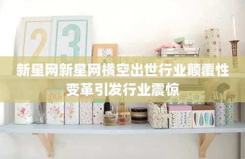 新星网新星网横空出世行业颠覆性变革引发行业震惊