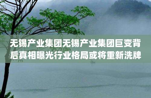 无锡产业集团无锡产业集团巨变背后真相曝光行业格局或将重新洗牌