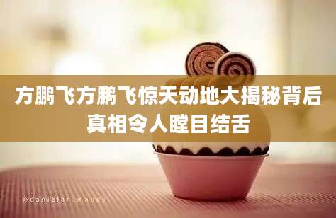 方鹏飞方鹏飞惊天动地大揭秘背后真相令人瞠目结舌
