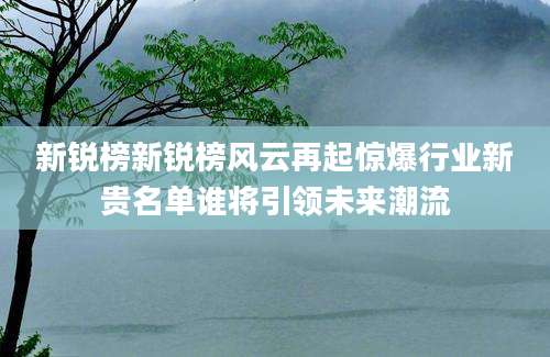 新锐榜新锐榜风云再起惊爆行业新贵名单谁将引领未来潮流