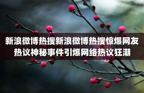 新浪微博热搜新浪微博热搜惊爆网友热议神秘事件引爆网络热议狂潮