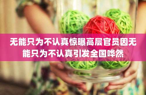 无能只为不认真惊曝高层官员因无能只为不认真引发全国哗然