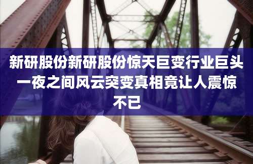 新研股份新研股份惊天巨变行业巨头一夜之间风云突变真相竟让人震惊不已