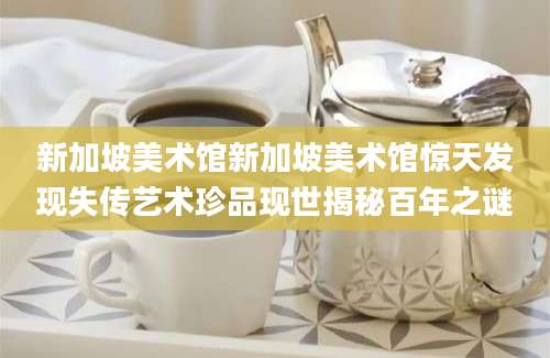 新加坡美术馆新加坡美术馆惊天发现失传艺术珍品现世揭秘百年之谜