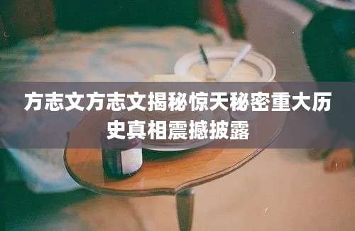 方志文方志文揭秘惊天秘密重大历史真相震撼披露