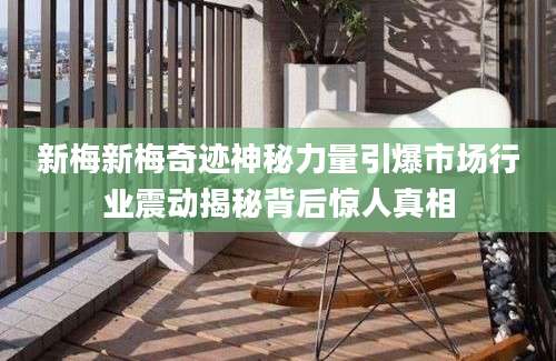 新梅新梅奇迹神秘力量引爆市场行业震动揭秘背后惊人真相