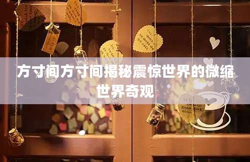 方寸间方寸间揭秘震惊世界的微缩世界奇观