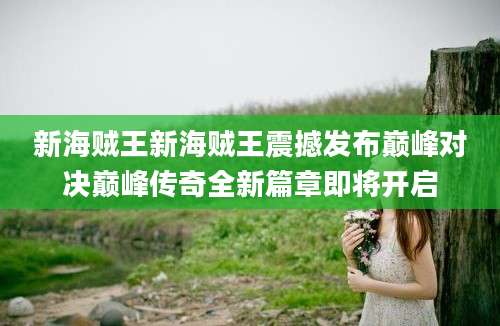 新海贼王新海贼王震撼发布巅峰对决巅峰传奇全新篇章即将开启